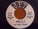 45   FRANK ZAPPA INTEREST   FAT DADDY HOLMES   CHICKEN ROCK   JET   1960   7