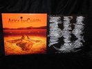 ALICE IN CHAINS DIRT DOUBLE ALBUM NEAR MINT