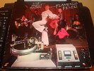 FLAMENCO FEVER-
