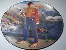 Marillion - Misplaced childhood  12'' Picture Disc Vinyl
