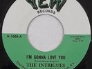 THE INTRIGUES northern soul HEAR IT YEW I'm Gonna Love You nice