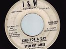 STEWART AMES   Angelina. 60s northern soul 45 on J & W. Popcorn Wylie. HEAR IT