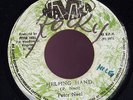 Peter Noel - Helping Hand JA orig 7