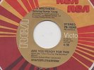 THE BROTHERS-ARE YOU READY FOR THIS(CLASSIC 70s INSTRUMENTAL)-R.C.A.