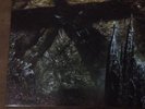 Immolation Unholy Cut Lp