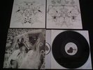 Björk - Vespertine - 2 Lp`s - Polydor 589000-1  - EU ,Foc