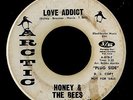 Soul Funk 45   Honey & the Bees   Love Addict   Arctic   WLP rare mp3
