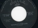 Pyramids-Before It's Too Late-Davis Doo Wop 45 