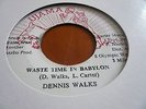 Dennis Walks Waste Time In Babylon Rare Killer Digi 7