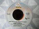 BOBBY WOMACK - HOW COULD YOU BREAK MY HEART - ARISTA