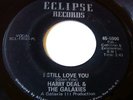 HARRY DEAL & THE GALAXIES 