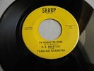 D.B. Brantley & The Fabulous Micronites - I'm Coming On Home / Looking For Love