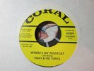 45 RPM l ROCK n' ROLL : Terry & the Topics