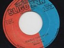 '87 SLIGO INN KILLER DIGI 45 SHATTER NILE HACKLE THEM BODY rare ?