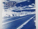 This is a Long Drive for Someone w Nothing to Think About MODEST MOUSE LP Vinyl