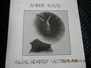AMBER ROUTE: Snail Headed Victrolas. Private US Space Rock LP. Rare 