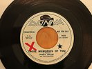BOBBY FULLER & The FANATICS Those Memories Of You/Our Favorite Martian SURF TEEN