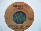 THATS WHY I LOVE YOU/PROFESSIONALS / UNPLAYED