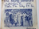 scarce funk 45 THE YOUNG SENATORS Jungle/That's the Way on INNOVATION w/ rare ps
