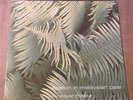 Edgar Froese - Epsilon in Malaysian Pale / 