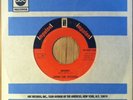 JOHN LEE HOOKER r&b blues soul 45 Money/Bottle Up And Go   Impulse