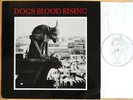 CURRENT 93 - Dogs Blood Rising LP Debut 1984 * 1.PRESS Belgium EBM Synth Minimal