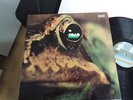 TOAD SAME LP IN 1971 MINT SWISS KRAUTROCK MONSTER WOW