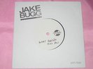 JAKE BUGG What Doesn't Kill You Very Rare UK White Label 7