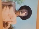 FLEETWOOD MAC MR WONDERFUL OG 68 UK BLUE HORIZON LP 1/1