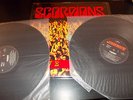 Scorpions 