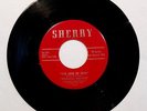 Garage 45--Fantastic Dee-Jays--This Love Of Ours / Apache--Sherry 197--Listen