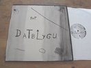 DATBLYGU - PYST LP Welsh Psych Super Furry Animals Gorky's Zygotic Mynci SUPERB