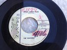  Ventures Walk Don't Run on Blue Horizon 101 Surf Holy Grail 45 LP Home