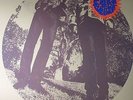 SEGALL, TY/WHITE FENCE - Hair - Limited White Vinyl LP