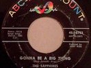 THE SAPPHIRES Gonna Be a Big Thing northern soul girl group 45 on ABC HEAR
