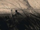 Andrew Chalk - Fall In The Wake Of A Flawless Landscape LP Ora Monos Current 93
