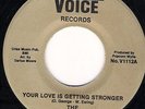 THE FOUR VOICES - YOUR LOVE IS GETTING STRONGER - VOICE - NORTHERN SOUL