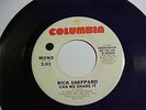 RICK SHEPPARD..1975 CAN WE SHARE IT..PROMO... *rare northern soul*