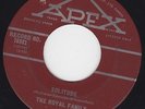THE ROYAL FAMILY 1965 garage punk 45 7
