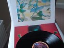 BELLY (Throwing Muses)       Vinyl LP     Star (1993)