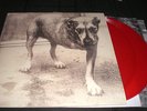 ALICE IN CHAINS   3 Legged Dog vinyl 2-LP unplayed color w/inserts