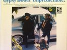 GYPSY BOOTS And The Nature Boys - Unpredictable Orig US LP - Psych Weird