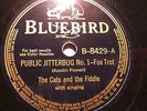 The Cats and The Fiddle Bluebird B-8429-A-B