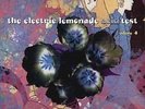 ELECTRIC LEMONADE ACID TEST 4 - JASPER / EGGY / ICARUS
