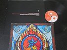 DREADZONE 