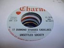 HEAR Garage Punk Psych 45 UNSETTLED SOCIETY 17 Diamond Studded Cadillacs on Cha