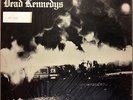 Dead Kennedys - Fresh Fruit for Rotting Vegetables red vinyl, poster Cherry Red