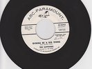 SAPPHIRES - GONNA BE A BIG THING /NEVER STOP ME FROM LOVING YOU - ABC W/DEMO