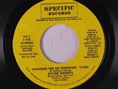 rare Old School Rap Hip-Hop 45 DIVINE SOUNDS changes SPECIFIC Hear