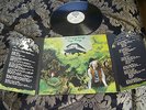Dr Strangely Strange 'Heavy Petting' Original UK Vertigo - Brilliant Album